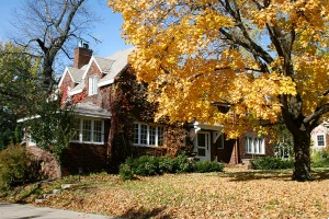 oshkosh seasonal landscaping by the grounds guys